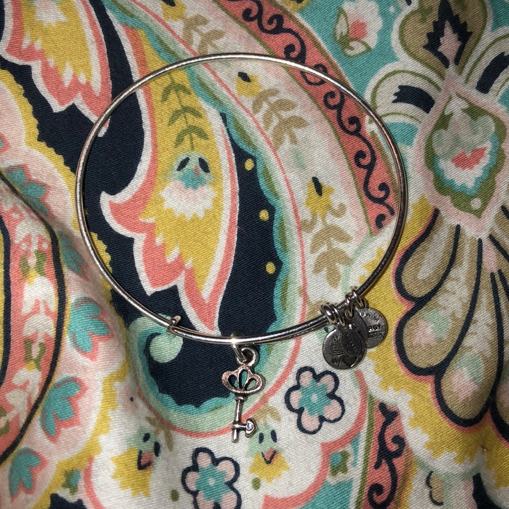 Sliver Alex and Ani